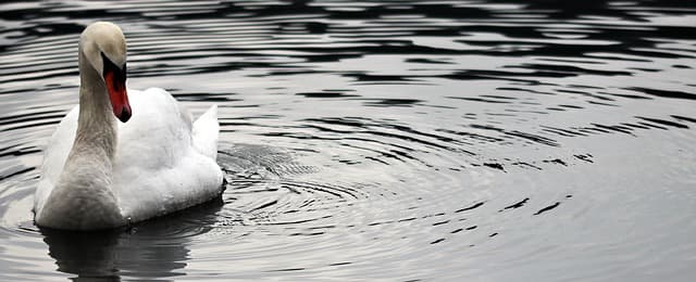 Comment gérer une fuite d'eau rapidement : étapes clés