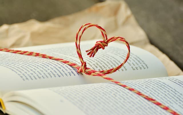 Les meilleures méthodes pour déboucher efficacement vos canalisations