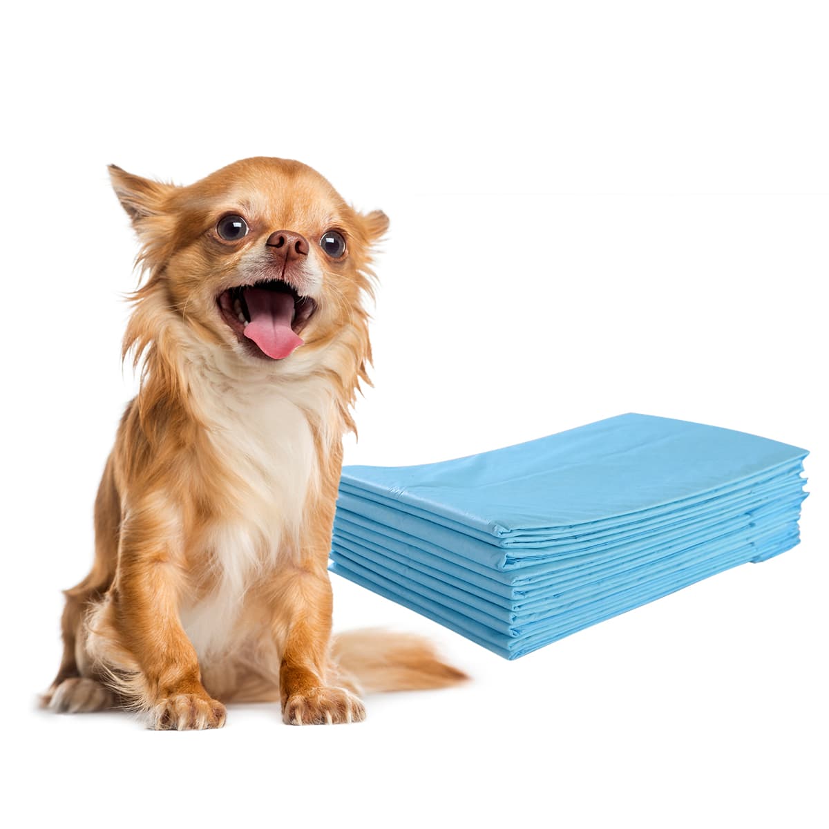 CostwayLot de 300 Tapis d'Entraînement pour Chien Anti-fuite 5 Couches 60 x 43 cm